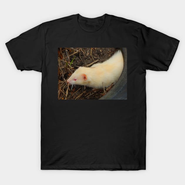 Albino Ferret T-Shirt by TrapperWeasel